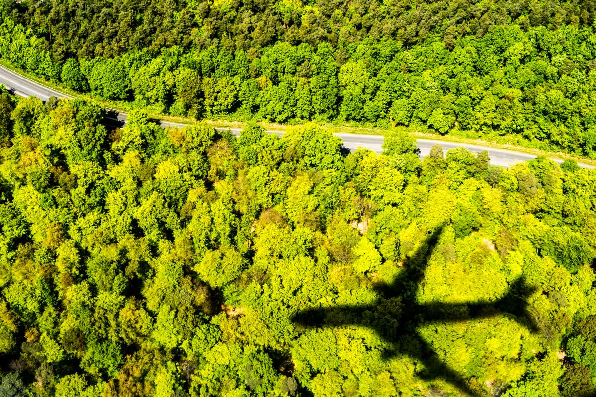 Flugzeugschatten über Wald