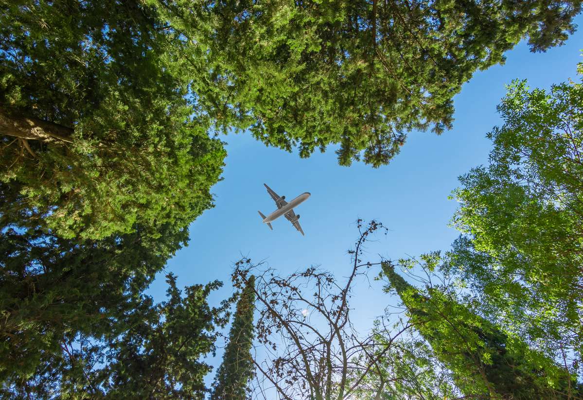 Aircraft shadow over forest Aircraft shadow over forest