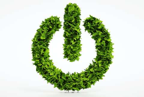 Einschaltknopf aus Blättern