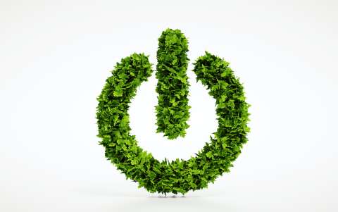 power button formed by leaves